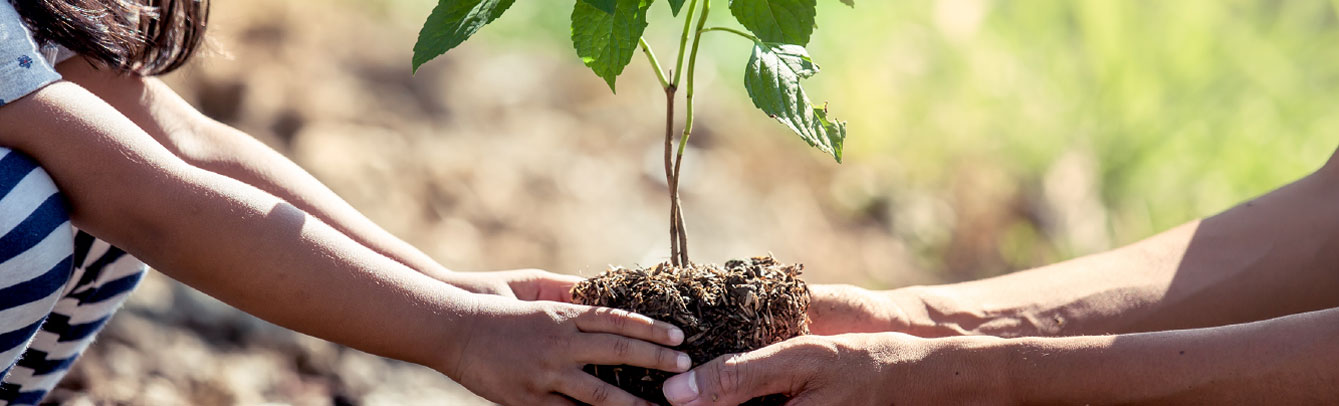 vegetation-management-banner