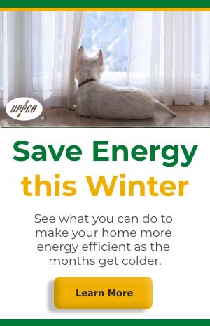 EE page_Save Energy this Winter_300x468